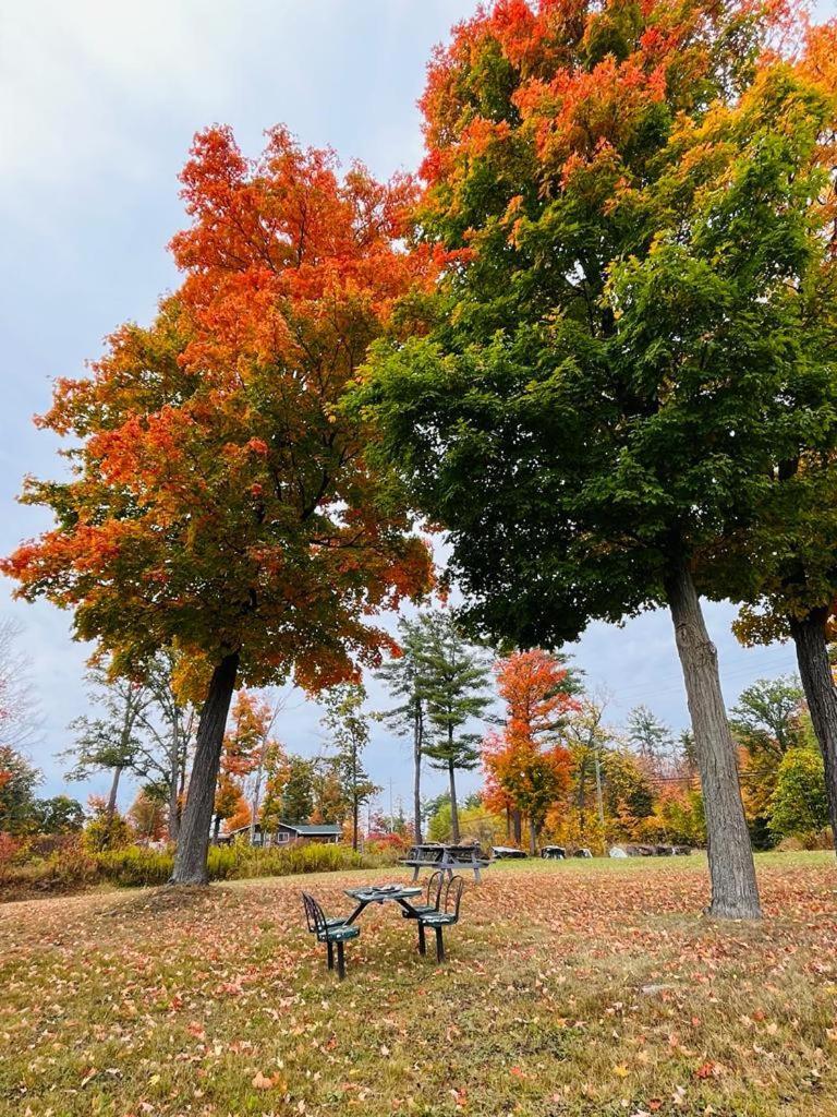 Calabogie Motor Inn エクステリア 写真